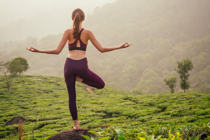 Yoga and Ayurveda: A Perfect Synergy for Complete Wellness