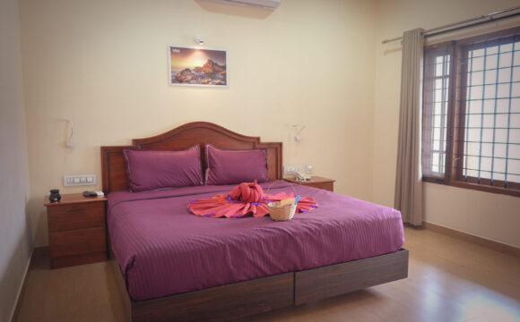 Detox Getaway Room