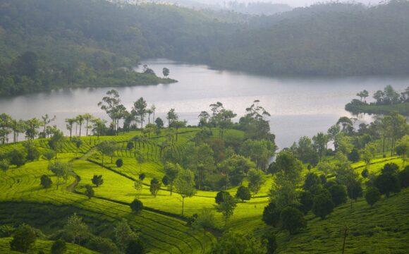 Why Munnar is the Perfect Destination for Ayurveda Retreats